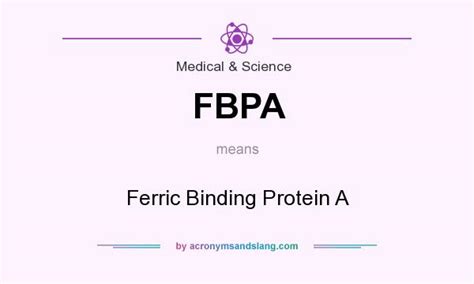 fbpa|The neisserial 37 kDa ferric binding protein (FbpA)